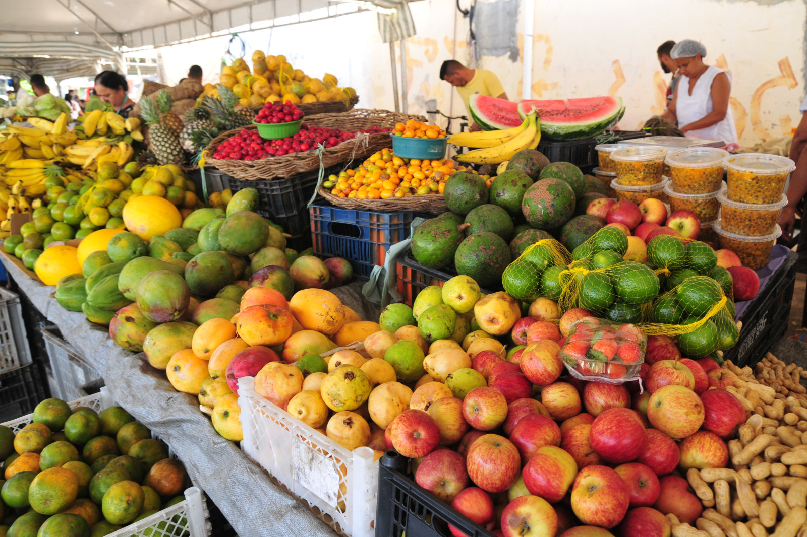 Boletim da Conab aponta para queda de preços das frutas mais comercializadas no atacado