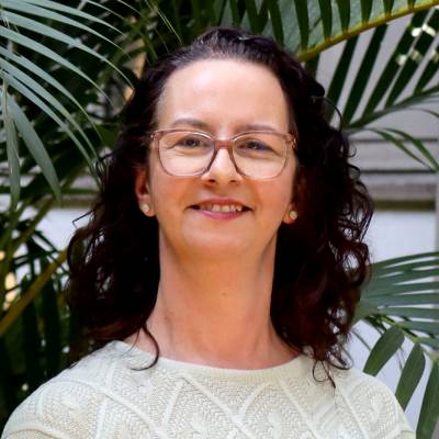 Netflix ou DVD? Livros, discos e filmes: o impacto ambiental da cultura e do entretenimento