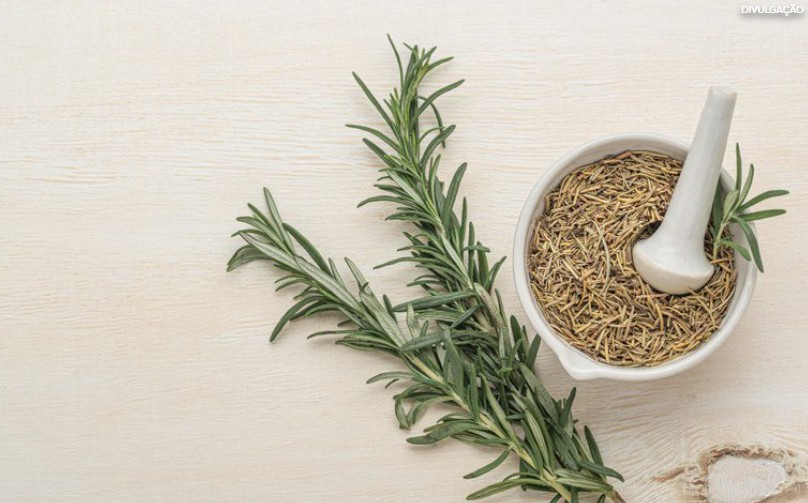 Alecrim e mostarda: Anvisa determina apreensão de produtos irregulares