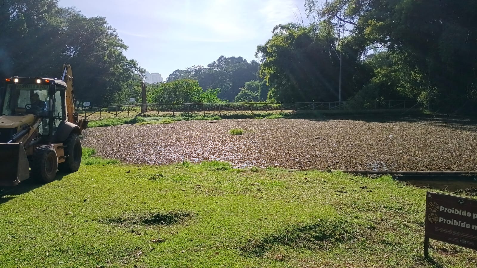 Prefeitura avança no manejo de plantas aquáticas no Jardim Botânico
