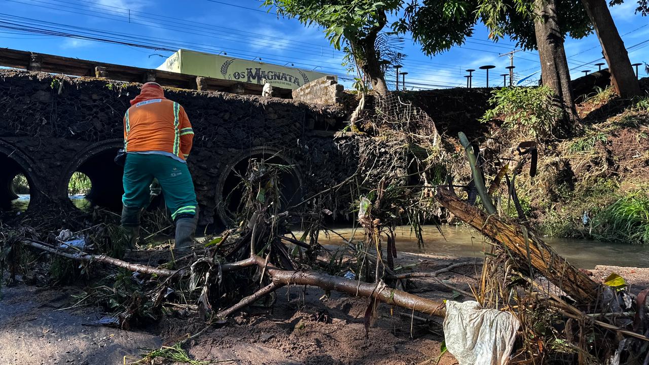 Equipes da Comurg trabalham desde a tarde de domingo em ocorrências de queda de árvores e galhos, remoção de resíduos e limpeza de pontes após temporal
