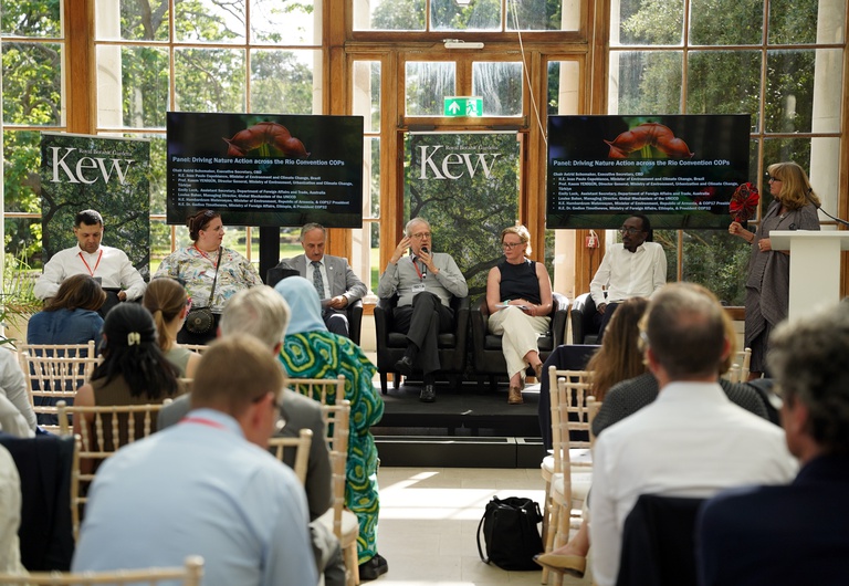 MMA apresenta ações de enfrentamento à mudança do clima na Semana de Ação Climática de Londres