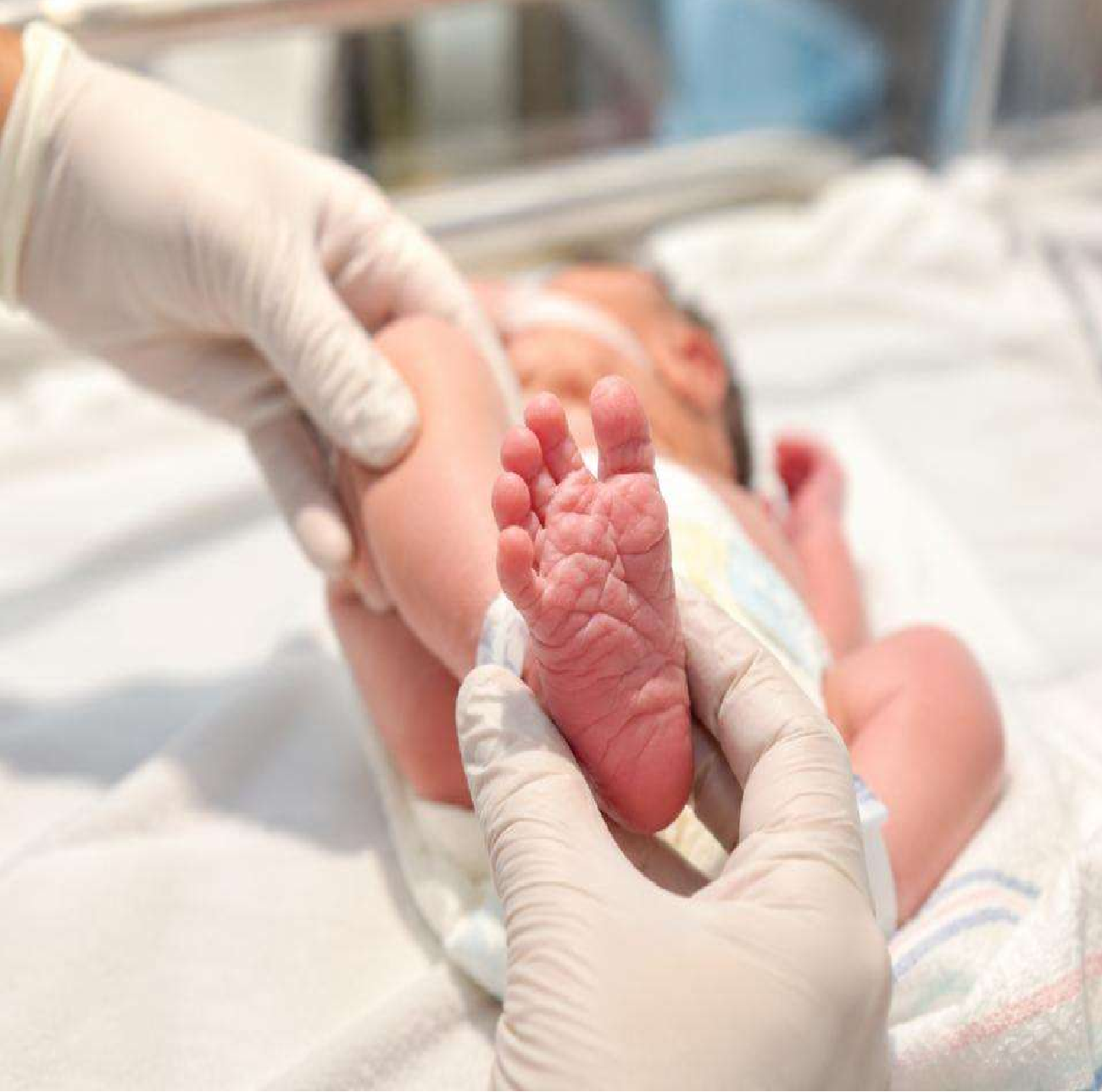 OMS faz chamado para ampliação do teste do pezinho e SBTEIM reforça cinco prioridades para a Triagem Neonatal brasileira