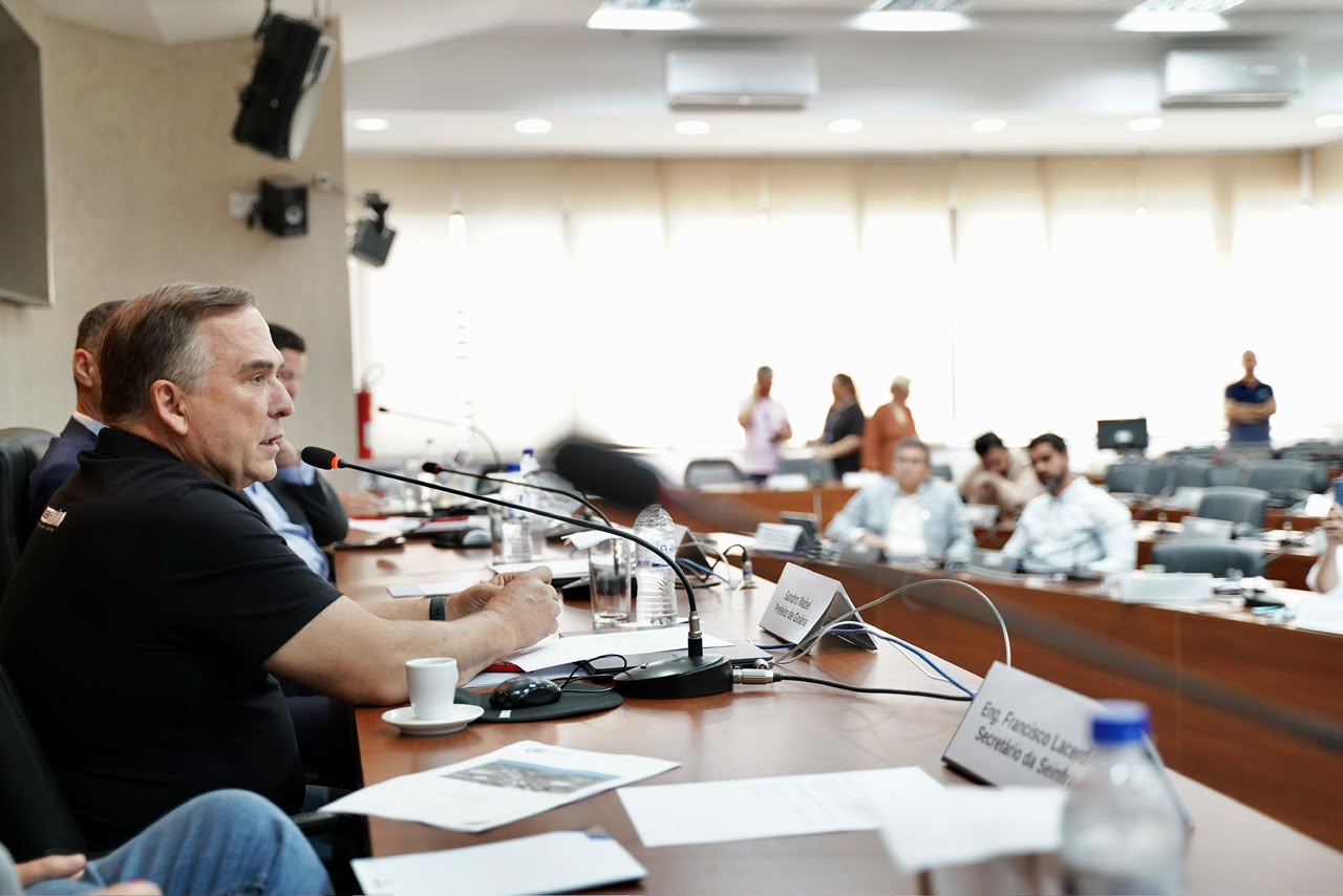 Mabel lidera grupo de trabalho que discute solução definitiva para viaduto da Leste-Oeste