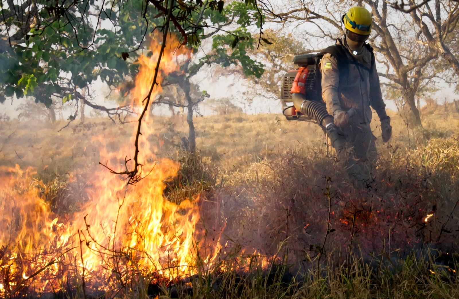 Governo de Goiás orienta população sobre prevenção a incêndios em áreas urbanas