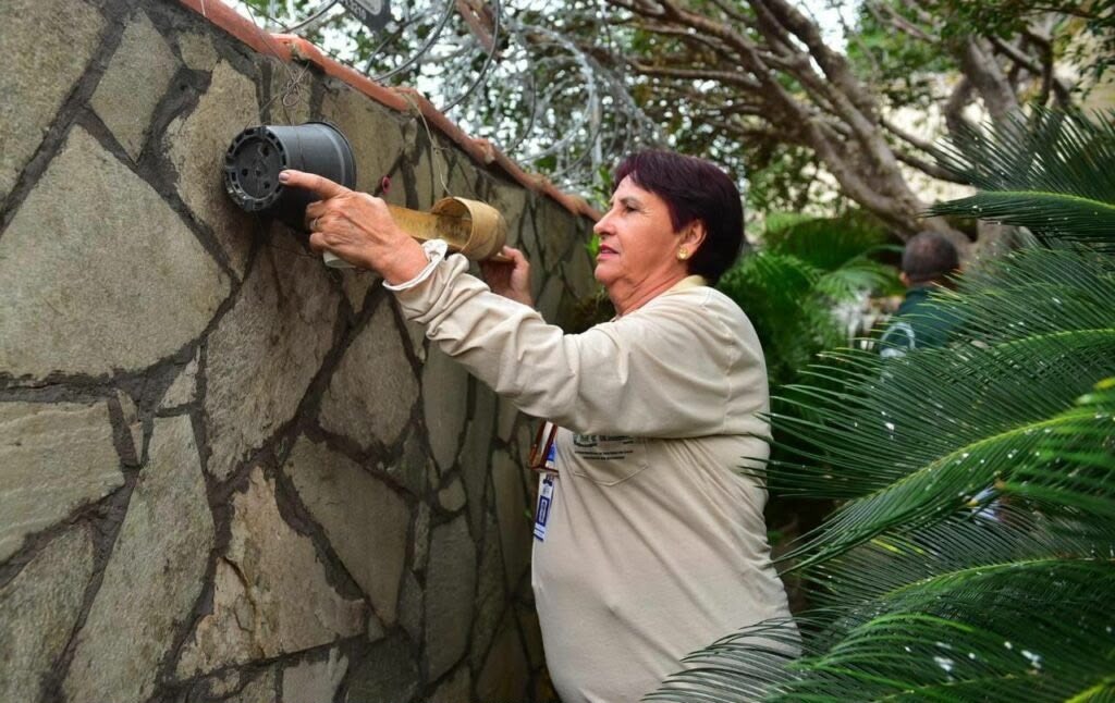 Força-tarefa combate chikungunya e alerta população para eliminar criadouros do Aedes em Goiânia